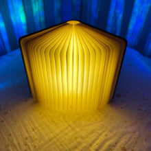 Charger l'image dans la galerie, Lampe veilleuse livre lumineux