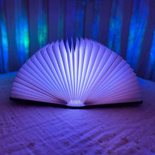 Charger l'image dans la galerie, Lampe veilleuse livre lumineux