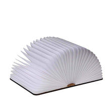 Charger l'image dans la galerie, Lampe veilleuse livre lumineux