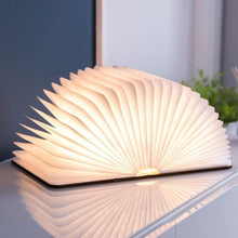 Charger l'image dans la galerie, Lampe veilleuse livre lumineux