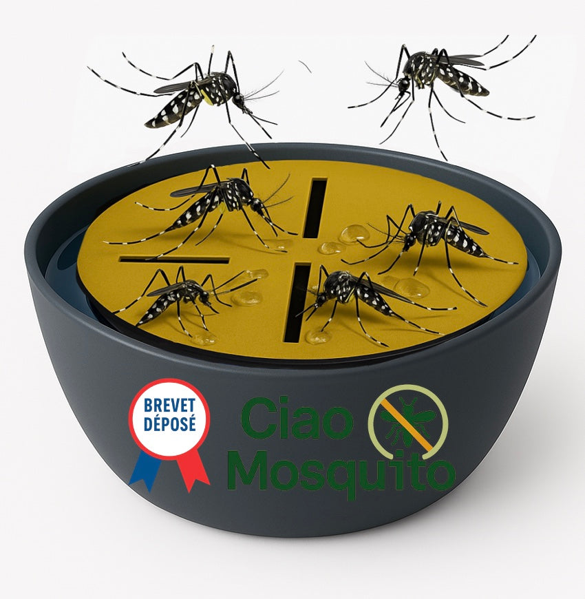Ciao Mosquito® x1 – Pièges Moustique Tigre & Larves pour intérieur | Anti Moustique Naturel, sans Insecticide | Réutilisable, sans Odeur | Salon, Chambre, Cuisine, Cave | Marque française