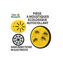 Charger l&#39;image dans la galerie, 🦟 Piège Autocollant à Moustiques et Insectes Nuisibles – Écologique, Sans Insecticide, Zéro Énergie 🌿
