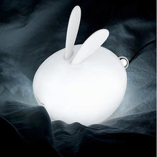 Charger l&#39;image dans la galerie, Ma lampe veilleuse lapinou
